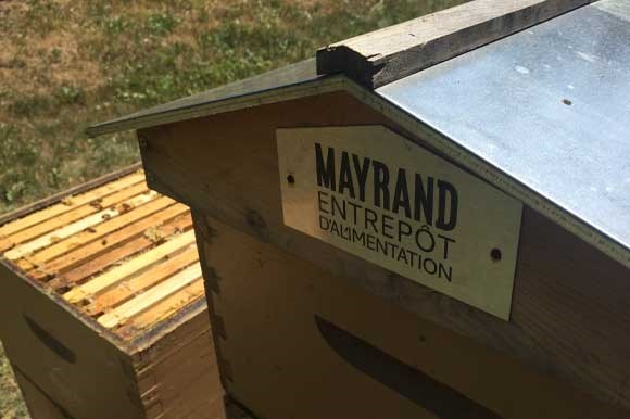 Alveole | Mayrand Foodservice Group